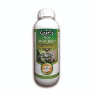 پالیزین