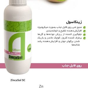روی 70% زینکاسول جنوبگان