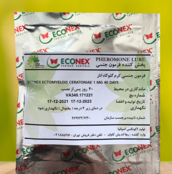فرومون جنسی شب پره کرم گلوگاه انار