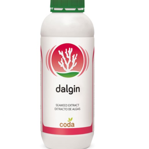 دی آلجین- dalgin