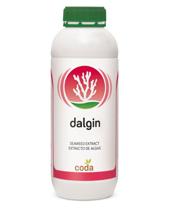دی آلجین- dalgin