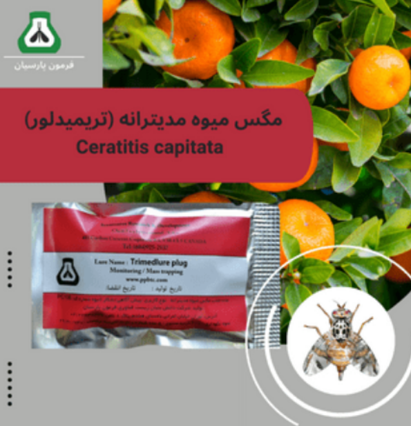 فرومون مگس میوه مدیترانه ای
