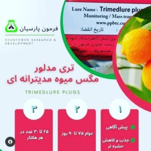 تریمدلور مگس میوه مدیترانه ای
