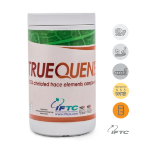 تروکوئن- True Quene