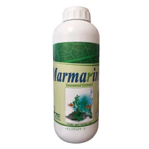 جلبک دریایی مارمارین