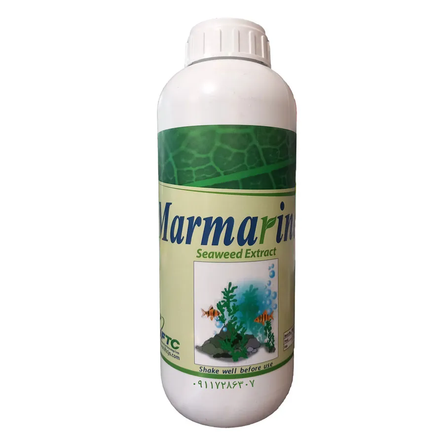 جلبک دریایی مارمارین