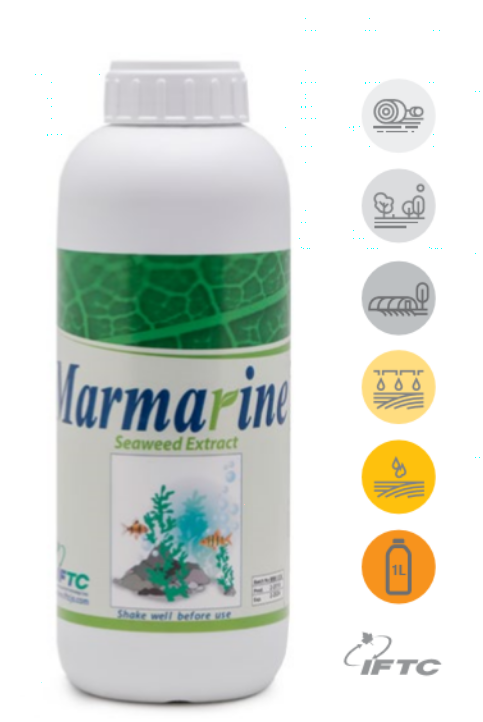 کود جلبک دریایی مارمارین