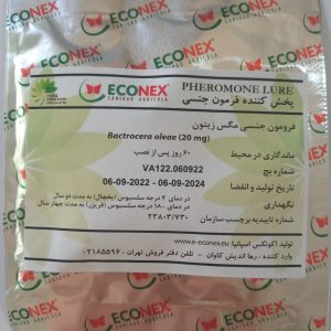 فرومون مگس زیتون