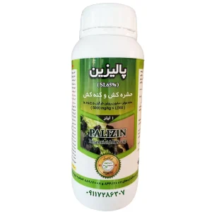 پالیزین