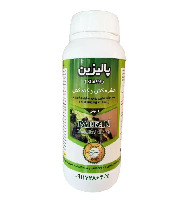 پالیزین