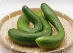 بد شکلی خیار دلایل و راه های درمان آن