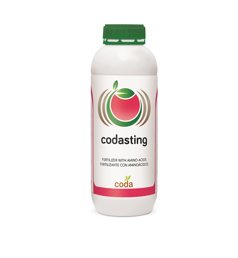 کدااستینگ 0.5 لیتری