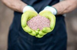 جذب نیتروژن 