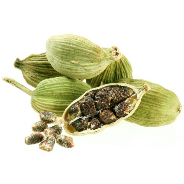 راهنمای جامع کاشت، نگهداری و خواص درمانی هل سبز