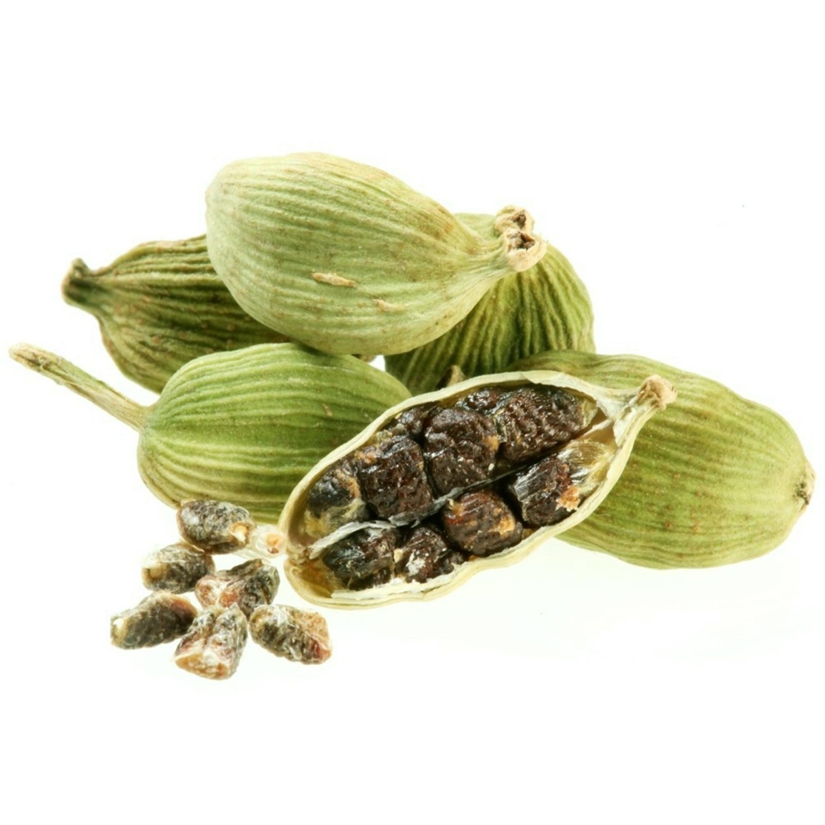 راهنمای جامع کاشت، نگهداری و خواص درمانی هل سبز