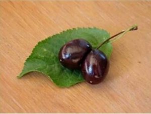 عارضه دو قلو شدن میوه