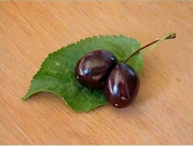عارضه دو قلو شدن میوه